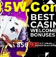 856bet